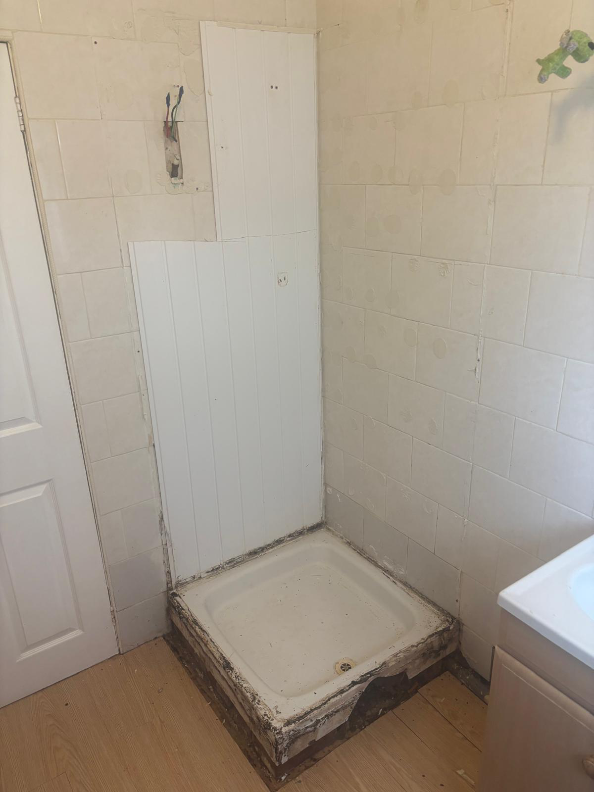Before photo 3